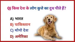 Gk Question || Gk In Hindi || Gk Question and Answer || Gk Quiz || Amit jac math ||
