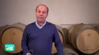 C’dans nos verres – Rencontre avec un vigneron à Chinon
