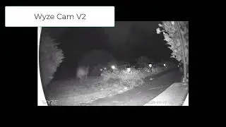 Nocturnal Critter Cams