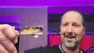 Barrister & Mann Amazelnut