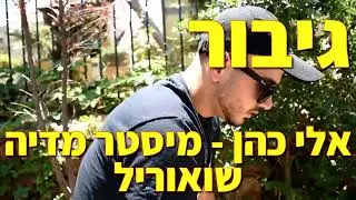 גיבור, אלי כהן   מיסטר מדיה שואוריל