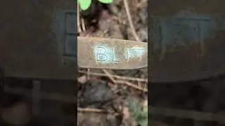 НАШЕЛ НЕМЕЦКИЙ ГРОМООТВОД! METAL DETECTING