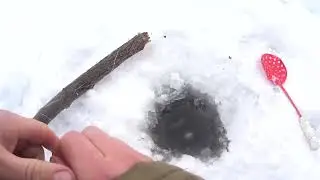 ПЕРВЫЕ ПЕРЕМЁТЫ НА ЧУЛЫМЕ. И ПЕРВЫЙ НАЛИМ. ОБКАТКА СНЕГОХОДА.