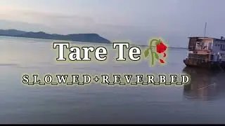 Tare Te || ( Slowed +Reverbed )
