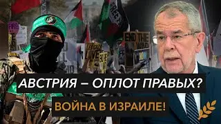 Новые законы против миграции | Мошенники в ФБК || Зерновости