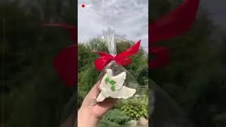Ловим солнышко с имбирными пряниками пекарни 