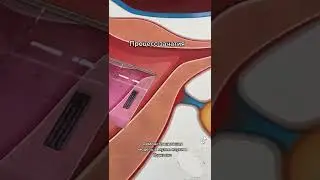 hamilelik sürecinin nasıl işlediğini dijital yolla anlatmayı sağlayan ekranlar