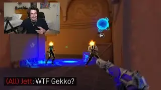 "Gekko is insane, no?"