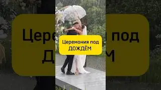 Дождь на свадебной церемонии #дождьприметы #свадьба2024 #ведущийнасвадьбу