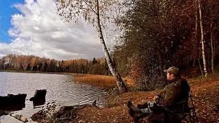 We went to a large taiga lake and forgot about the city bustle. Fishing and wild cuisine!