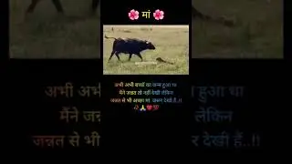 😔😔😔😔#whatsapp#newstatus#shortvideo#yutubeshorts