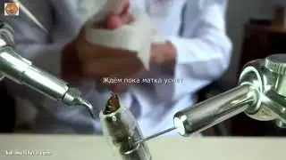 Осеменение пчелиной матки на оборудовании Grabski&Glass