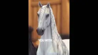 #ssoedit #edit #starstableonlinehorses #horsegame #starstableonlineedit #horse