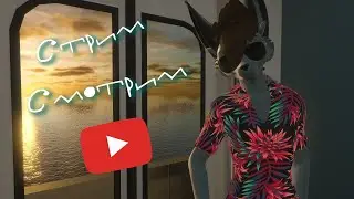 Смотрю видеос, общаюсь с вами