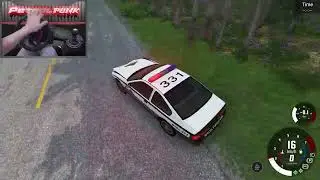 BeamNG Drive | EAST COAST CHASE #3 Mission | PetrolPunk