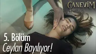 Ceylan bayılıyor! - Canevim 5. Bölüm