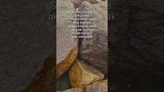 Bijak Berpijak