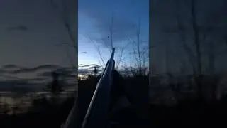 ОХОТА НА ВАЛЬДШНЕПА ВЕСНОЙ 