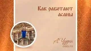 Как работают асаны. Антон Чудин