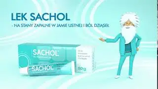 Sachol BBS 2019