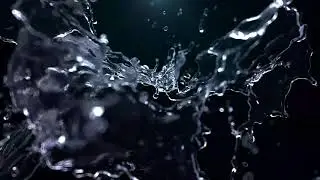 AVP