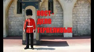СВЕТLIVE #15 | Пост - дело терпеливых