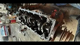 We dissect the body of the SMD-31
