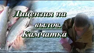 Licensed Fishing in the Ust-Kamchatsky District