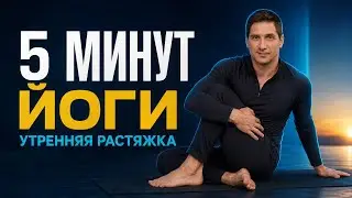 12 августа 2024 г.