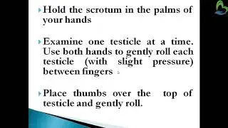 KNOWLEDGE NURSING | TESTICULAR EXAMINATION