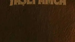 Sanki Yapamadım (Yaşlı Amca) Lyrics