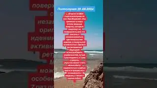 #рекомендации