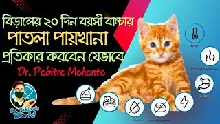 ২০ দিন বয়সী বিড়ালের পাতলা পায়খানা প্রতিকার || Dealing with Kitten Diarrhoea || Dr. Pobitro