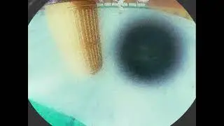 aintsrs. // s3 realistic