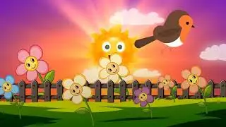Baby Sensory Fun - Colourful Rockets & Planets, birds and flowers