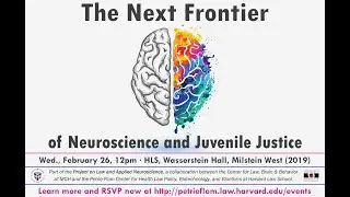 The Next Frontier of Neuroscience and Juvenile Justice