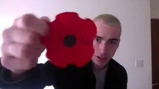 Creating Poppies From Plastic Bottles