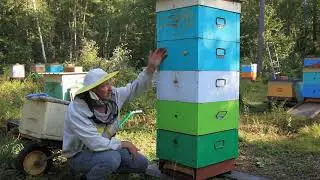 Захочешь не получится, 2 матки