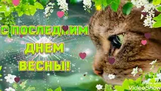 С Последним днём Весны! 🌺🍃Красивое поздравление с последним днем весны!