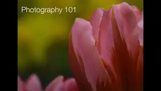 Photography 101