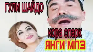 ГУЛИ ШАЙДО ЯНГИ МП3 