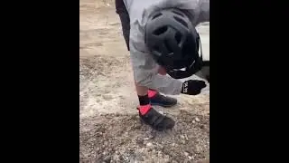 спасение собаки