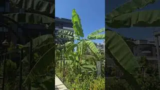 Недвижимость в Турции.  