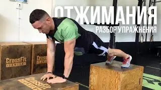 Отжимания от пола.  Разбор упражнения - Алексей Хатов