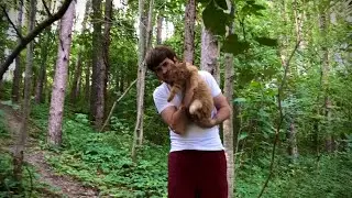 Frolicking Around