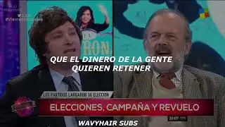 Una Bandita Indie De La Plata - Javier Milei; El Ultimo Punk /// Letra + video