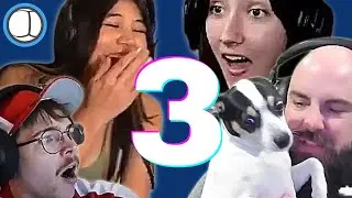 Marble Moments 3 (FUNNY MOMENTS, INSANE PLAYS, BEST DUNKS, RANDOM FUN)