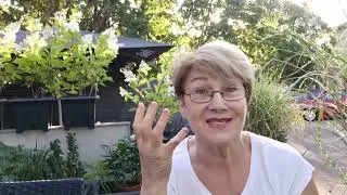 306...У меня опять ЧП.