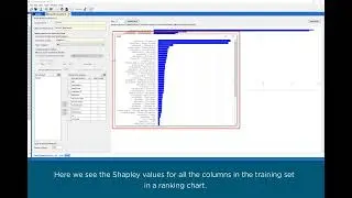Analyze Shapley Values with Altair® Knowledge Studio®