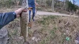 НАКОНЕЦ ТО ЩУКА !!!!